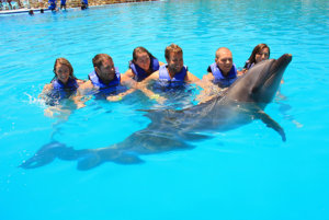 ¿Estás listo para nadar con delfines en Los Cabos