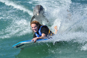 ¿Estás listo para nadar con delfines en Los Cabos?
