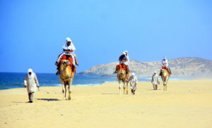 paseo en camello Los Cabos