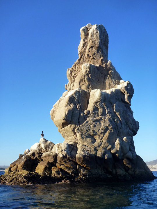 Roca Pelícano Cabo San Lucas