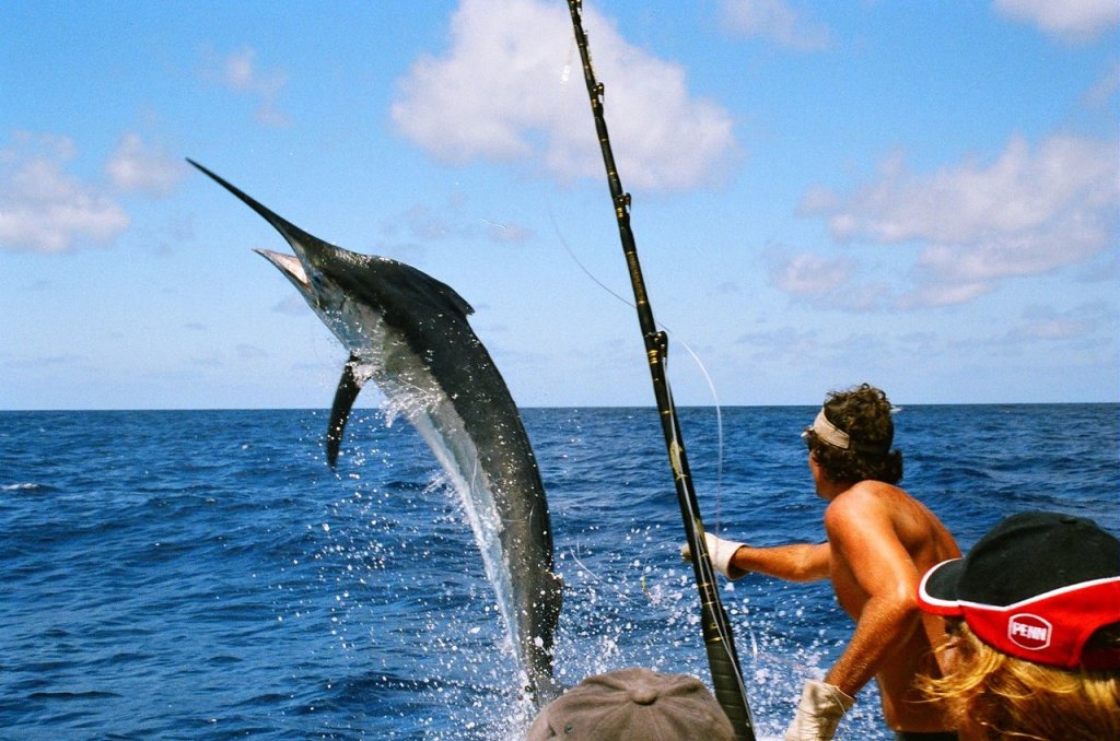 Pesca deportiva en Los Cabos