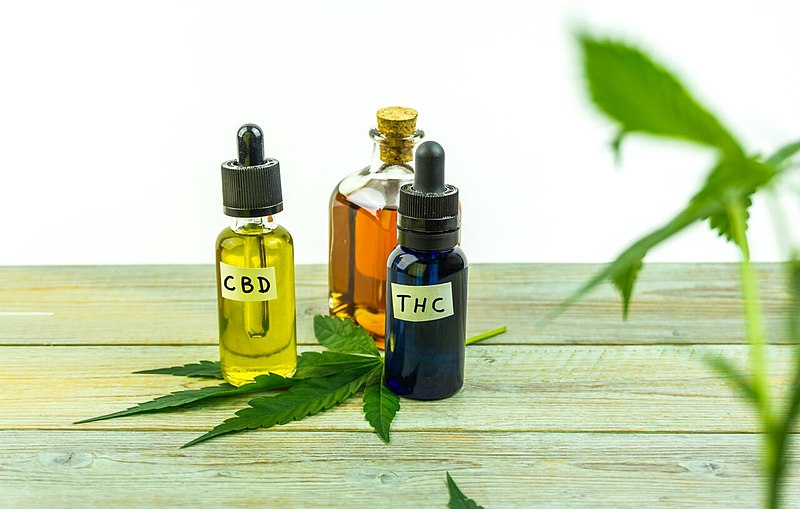 CBD: What is it and how to include it in your daily life - Los Cabos México  Blog